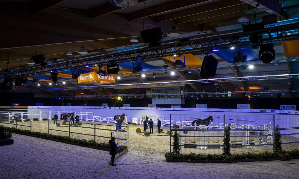 KWPN Hengstenkeuring gaat van start DigiShots